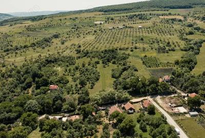 Teren de 3382 mp, în Corușu - 2