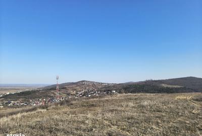 Spațiu comercial, în Tomești - 11