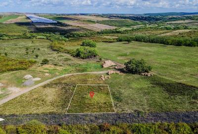 Teren intravilan de vanzare - 902 mp, Paleu, Bihor | PUZ aprobat - 4