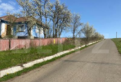 Casa cu 10000mp de teren in Buza, la 50 km de Cluj-Napoca - 2