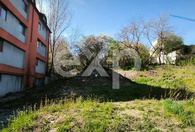 Spațiu comercial, de 742 mp, în Frații Golești - 3