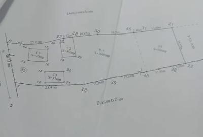 Casă cu Teren 5000 Mp în Bulzești - 2