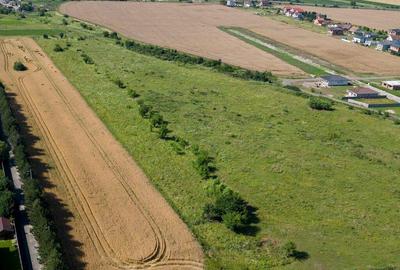 Loc de casa in Bujac - 32