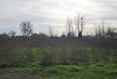 Teren de 5106 mp, în Mereni - 1