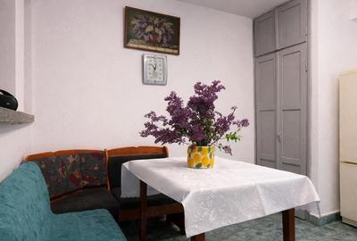 Apartament cu 2 camere decomandat în Rogerius - 2