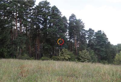 Teren intravilan cu PUZ si PUD 2 loturi - 4