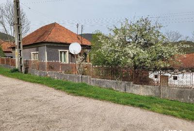 Casă cu 4 camere cu Teren 1000 Mp în Central - 2