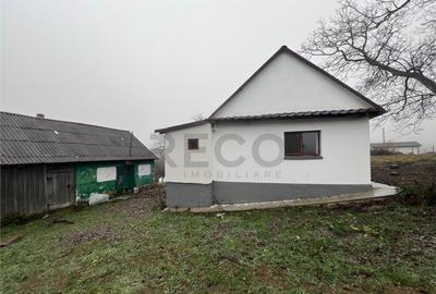 RECO, casa in Sinteu, aproape de Huta Slavia - 8