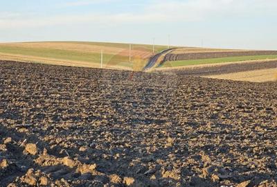 Teren de 30077 mp, în Stroiești - 3