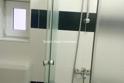 Vanzari Case / vile - 16