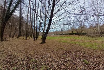 Resita, Teren Drept Intravilan, Langa Prau si Drum, Parcelabil, 4500 Mp., 15 Euro Mp., Renk - 4