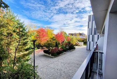 Iancu Nicolae- Gradina Zoologica- Jolie Ville- Loc parcare Iancu Nicolae- Gradina Zoologica- Jolie Ville- Loc parcare - 5