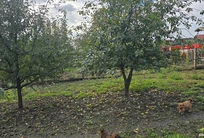 Casa de vanzare - 6