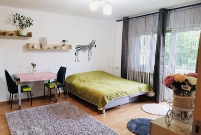 Garsonieră decomandată în Bucovina - 6