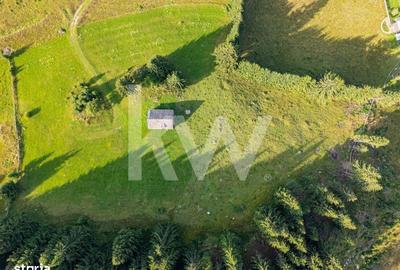 Spațiu comercial, în Ciocanu - 13