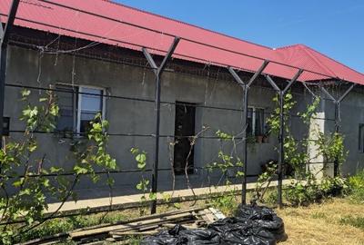 Casă cu 3 camere în Sohatu - 8