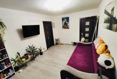 Apartament cu 3 camere semidecomandat în Teiul Doamnei - 1