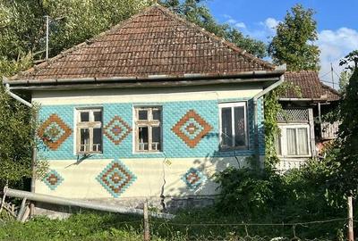 Casă cu Teren 5000 Mp în Mineu - 4