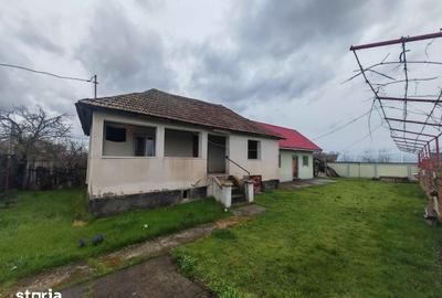 Casă cu 3 camere cu Teren 1528 Mp în Optași - 4