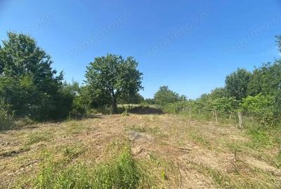 Casa si teren de vanzare 23 ari in Arduzel - 3