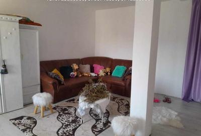 Casă cu 5 camere cu Teren 3424 Mp în Tismana - 13