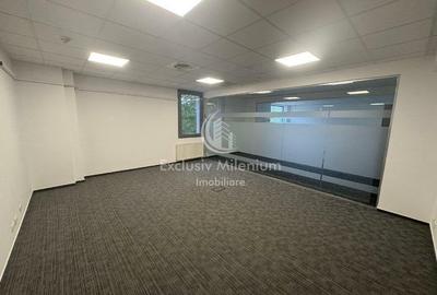 Birouri Cismigiu -Stirbei Voda - 3