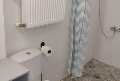 Apartament cu 2 camere semidecomandat, mobilat în Grivița - 5