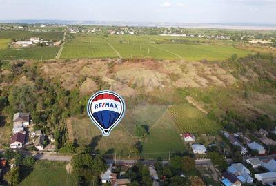 Teren Panciu ( Satul Nou ) Strada Progresului - 4