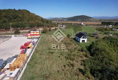 Teren de 2500 mp, în Viișoara - 4