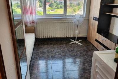 Garsonieră nedecomandată în Buziașului