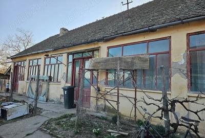 Casă cu 3 camere cu Teren 1088 Mp în Vinga - 4
