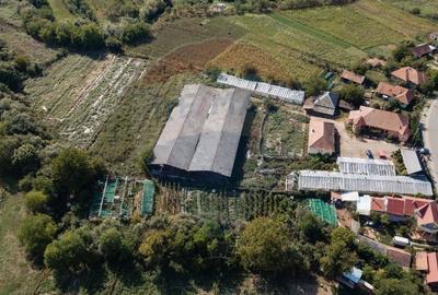 Teren cu constructii | 17000 mp | intravilan | flexibilitate - 2
