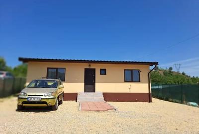 Casă cu 3 camere cu Teren 550 Mp în Teliucu Inferior - 5