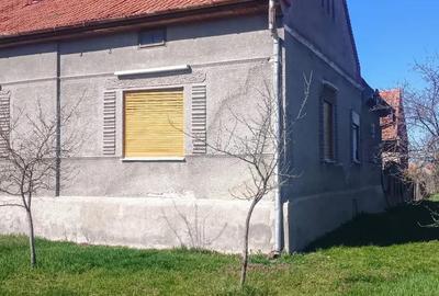 Casă cu 3 camere cu Teren 3000 Mp în Căpăt - 7
