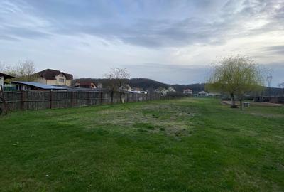 Teren agricol intravilan de 1499 mp, în Big-Bascov