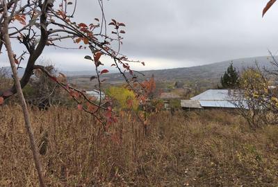 Spațiu comercial, în Central