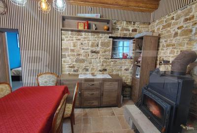 Proprietate cu 2 case, una fiind traditionala, Dezmir - 6