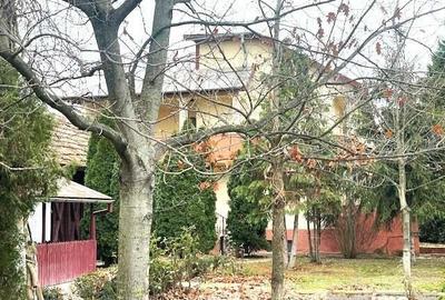 Casă cu 6 camere cu Teren 1566 Mp în Central - 5