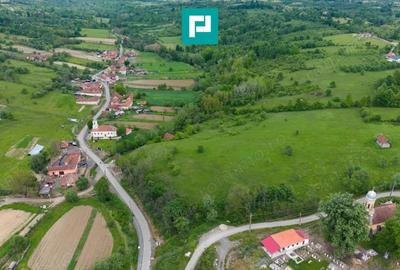Casă cu Teren 24494 Mp în Lupești - 8