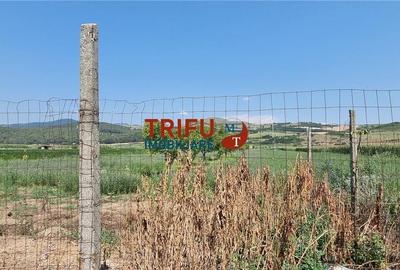 Spațiu comercial, în Șard - 2