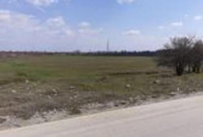 Teren de 38000 mp, în 1 Decembrie - 3