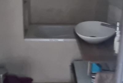 Apartament cu 4 camere semidecomandat în P-ța Victoriei - 5