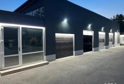 Spatiu productie servicii depozit - 1