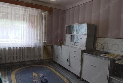 Casă cu 2 camere în Sânmihaiu Almașului - 8