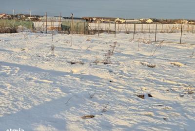 Spațiu comercial, în Balotești - 7