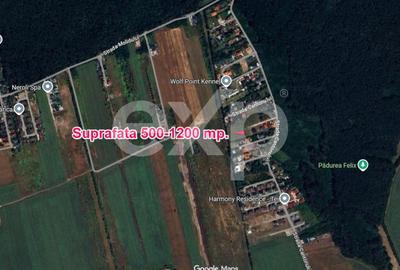 Teren Construcții intravilan de 500 mp, în Corbeanca