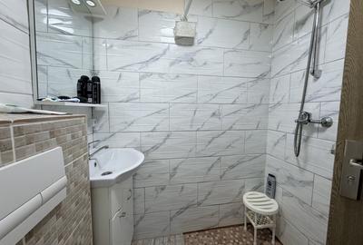 Garsonieră semidecomandată, mobilată în Buziașului - 4