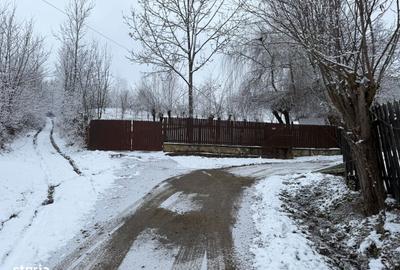 Spațiu comercial, în Provița de Jos