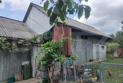 Casă cu 4 camere cu Teren 2190 Mp în Siret - 6