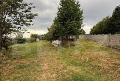 Casa etaj, 140 mp utili, 4800 mp teren, Adancata - 16